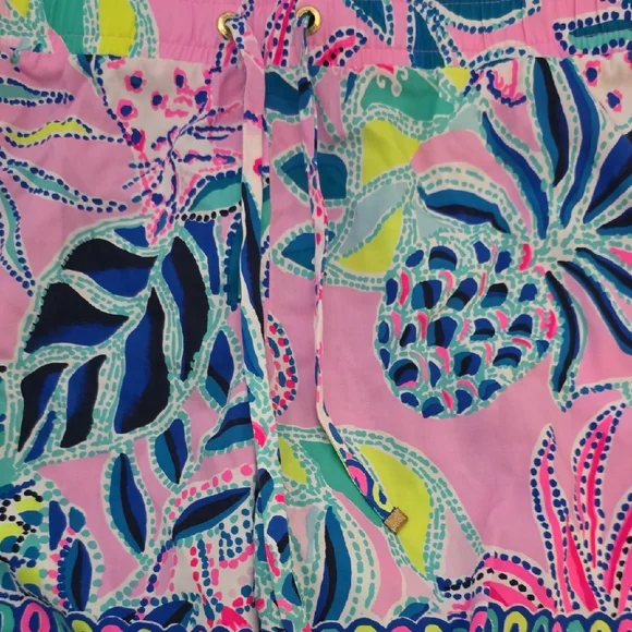 Lilly Pulitzer "Katia" Shorts — Once Upon a Tide, Size XL - Picture 3 of 6